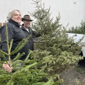Sammlung der Christbäume startet wieder. »A5