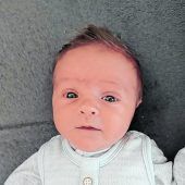 Kilian Gollob aus Doren