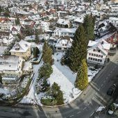 Pläne für Prestigeprojekt in Dornbirner Villenviertel. »A5
