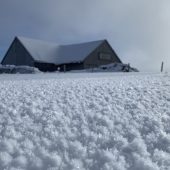 Schön ist es auf der Alpe