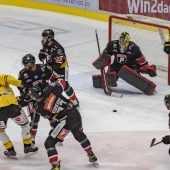 Kräftiges Lebenszeichen der Pioneers