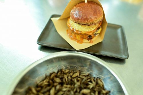 Hamburger aus Grillenmehl sind nun auch in der EU zugelassen.  ap