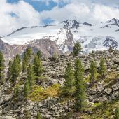 Nationalpark Stilfserjoch