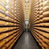 Käse macht guten Umsatz