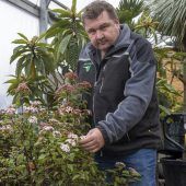 Gartenarbeit im milden Winter