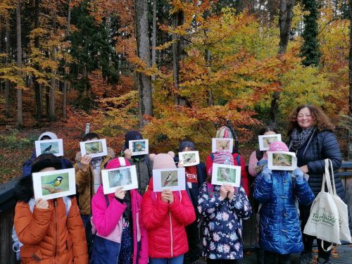 Kinder zu Besuch im Wildpark.  Dönz-Breuss