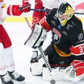Pioneers gegen Salzburg ohne Chance