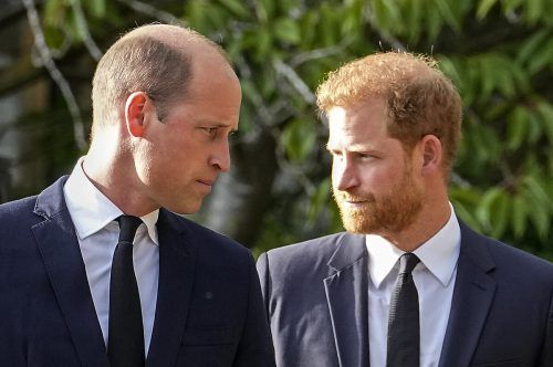 Prinz Harry bezeichnet seinen Bruder Prinz William in dem Buch als „geliebten Bruder“ und „größten Gegenspieler“.  AP