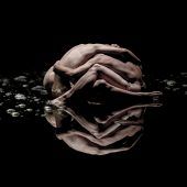 Landeshauptstadt lädt zum 36. Internationalen Tanzfestival