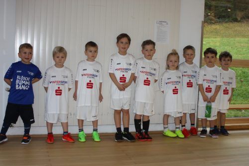 Zeigten ihre Ballkünste auf dem Parkett: die Bambini des FC BW Feldkirch. VN/TK