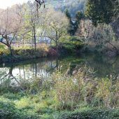 Feldkirch erwirbt Levner Weiher