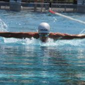 Schwimm-Elite in Dornbirn