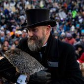 Murmeltier Phil sagt den USA sechs weitere Wochen Winter voraus