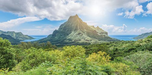 Der Belvedere Lookout auf Moorea ist leicht zu erreichen und bietet einen tollen Blick.