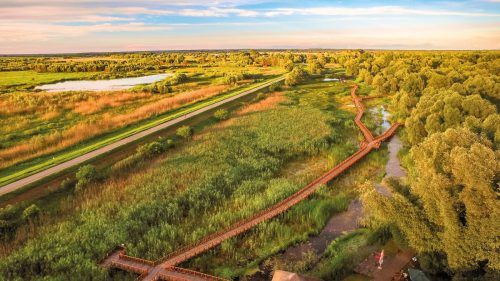 Der Naturpark Kopački Rit wird häufig auch als „europäischer Amazonas“ bezeichnet. CNTB, Ivo Biocina