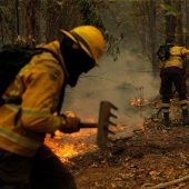 Mehr als 250 Waldbrände wüten in Chile: Notstand in drei Regionen