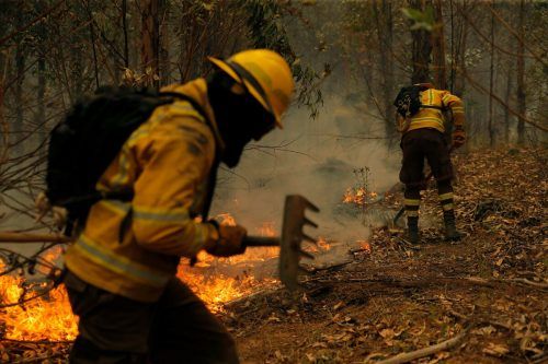 Die Feuerwehrleute kämpfen auf Hochtouren gegen die Flammen.  AFP