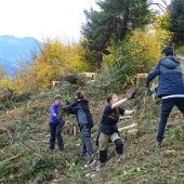 Zur Teambuilding-Maßnahme in den Wald