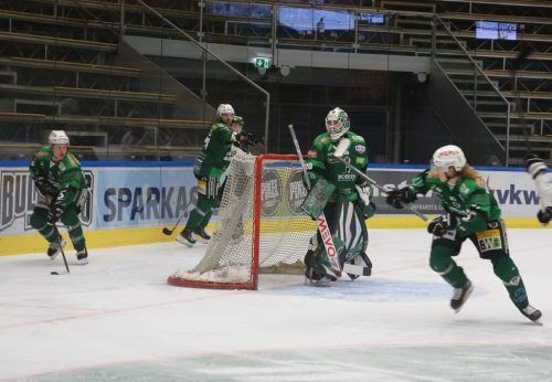 Die Wälder Cracks möchten gegen Kitzbühel den Einzug in das Pre-Play-off klarmachen. siha