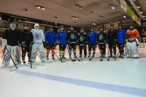 Die Wildcats messen sich mit anderen Frauenmannschaften in der bayerischen Landesliga.  