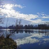 Die Natur im Februar