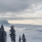 Blick von der Alpe