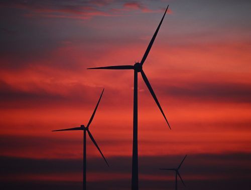 In der Schweiz sollen bis 2050 sieben bis zehn Prozent des Stroms von Windkraftanlagen produziert werden. APA