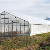 Hautpflege mit Aloe Vera vom Bodensee