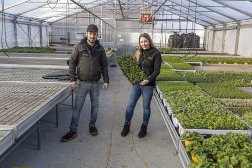 Jenny und Dominik Lumaßegger haben den Energieverbrauch stark reduziert.