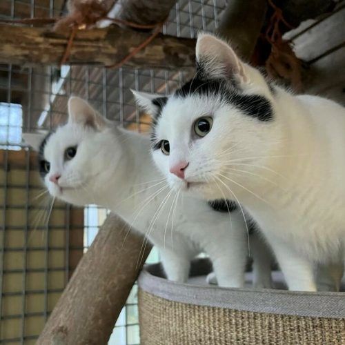 Louis und Felix möchten gerne zusammenbleiben.
