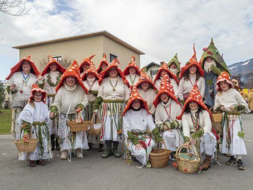 Schöne Kostüme hatten auch die Fliegenpilze aus Bludenz, die in Ludesch mitgingen. HAb