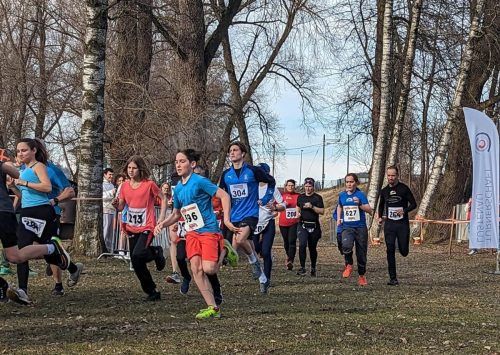 Vergangenen Samstag fand der sechste und somit letzte Lauf der Crosslaufserie in Lustenau statt. mima