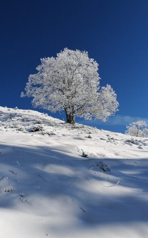 Winterstimmung oberhalb von Furx.  Armin Spiegel
