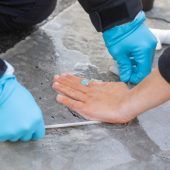 Klimaproteste erstmals Fall für ein österreichisches Gericht