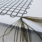 Lustenauer Start-up stickt Stein