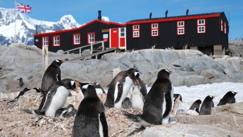 Briefe sortieren und Pinguine zählen – beliebter Job in der Antarktis.  UKAHT