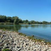 Bregenz nimmt das Biotop unter die Lupe