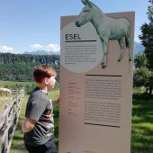 Shuttlebus auf den Ardetzenberg zum Wildpark