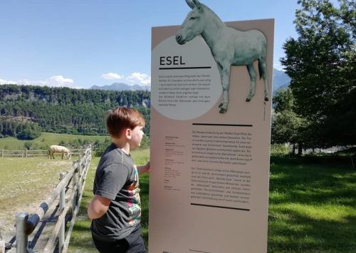 Der Feldkircher Wildpark bleibt mit einem Shuttlebus weiterhin bequem erreichbar. Michael Mäser