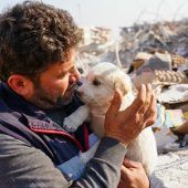 Hund drei Wochen nach Beben unter Trümmern gefunden