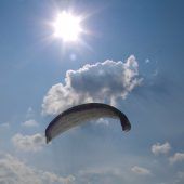 Paragleiter geriet in Tanne: Bergretter im Einsatz