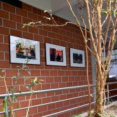Fotoausstellung im Rathaus bis 30. März