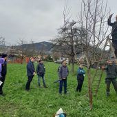 Von der großen Leistung, Obstbäume zu kultivieren
