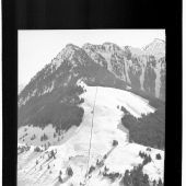 Kein schneereicher Winter
