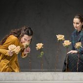 19.30 Uhr landestheater, bregenz