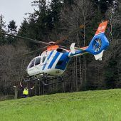 Autofahrerin bei Aufprall gegen Baum getötet