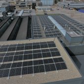 PV für Scheyer