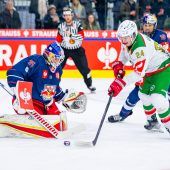 Für Marco Kasper geht die Saison in der AHL weiter