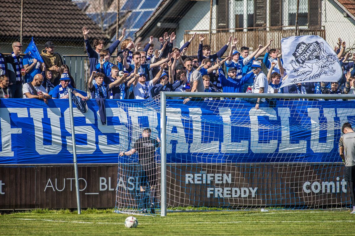 Im Stadion an der Holzstraße freut man sich neben dem Derby gegen Austrias Amateure auch auf die VN.at-Eliteliga.steurer