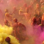 Bilder des Tages
